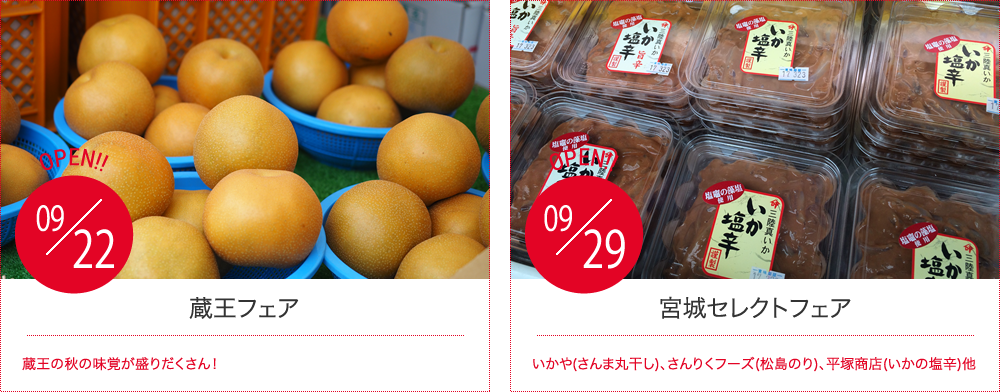SCHEDULE,出店予定情報を知る